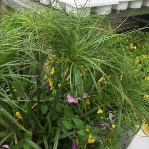 Meet your Posher, Bart